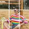 IMG 115 of Summer INSInspired Popular Half Sleeved T-Shirt Women Mid-Length Rainbow Color-Matching Striped Short Sleeve T-Shirt