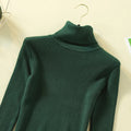 IMG 136 of Under Sweater Women High Collar Long Sleeved Knitted Solid Colored Minimalist Undershirt Slim Look Tops Outerwear