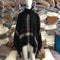 Sweater Women Europe Mid-Length High Collar Fringe Shawl Loose Plus Size Outerwear