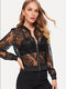 IMG 118 of Popular Europe Translucent Lace Women Sexy Jacket Outerwear