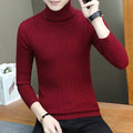 Img 21 - High Collar Men Korean Solid Colored Casual Slimming Sweater