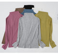 IMG 168 of Black Round-Neck Half-Height Collar Undershirt Women Slim Look Solid Colored Under Long Sleeved Tops Outerwear