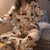 Img 3 - Pajamas Women Long Sleeved Cardigan Chequered Korean Thin Popular Loungewear Sets