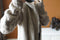 IMG 109 of Europe Women Hooded Thick Knitted Cardigan Long Coat Sweater Outerwear